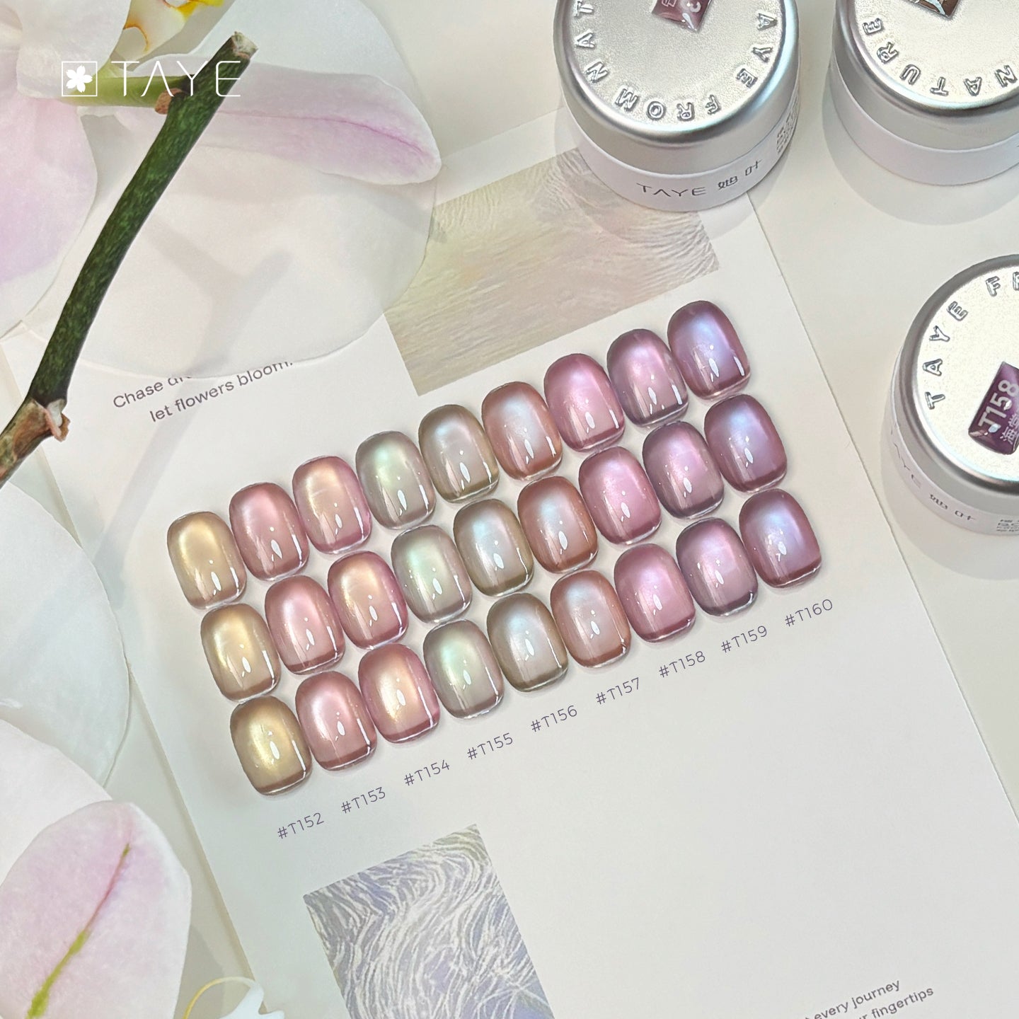 TAYE  Nail Gel Polish Cat Eyes Color