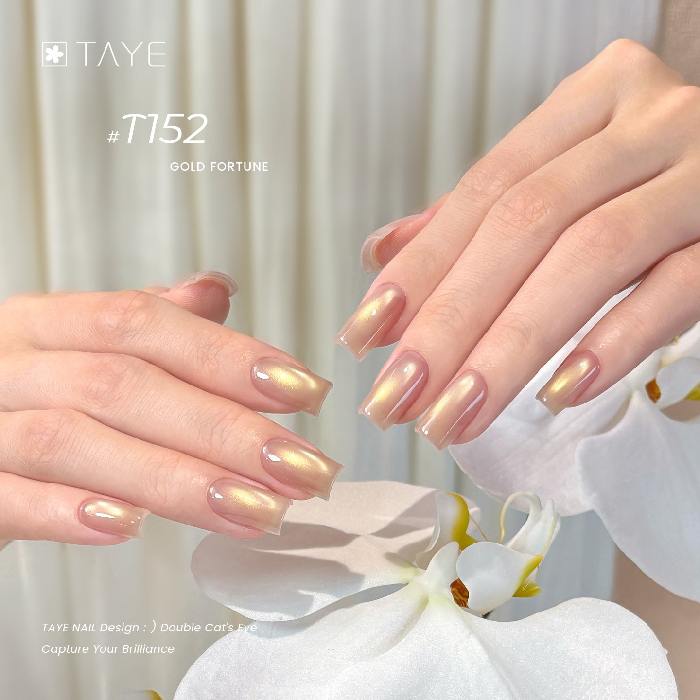 TAYE  Nail Gel Polish Cat Eyes Color