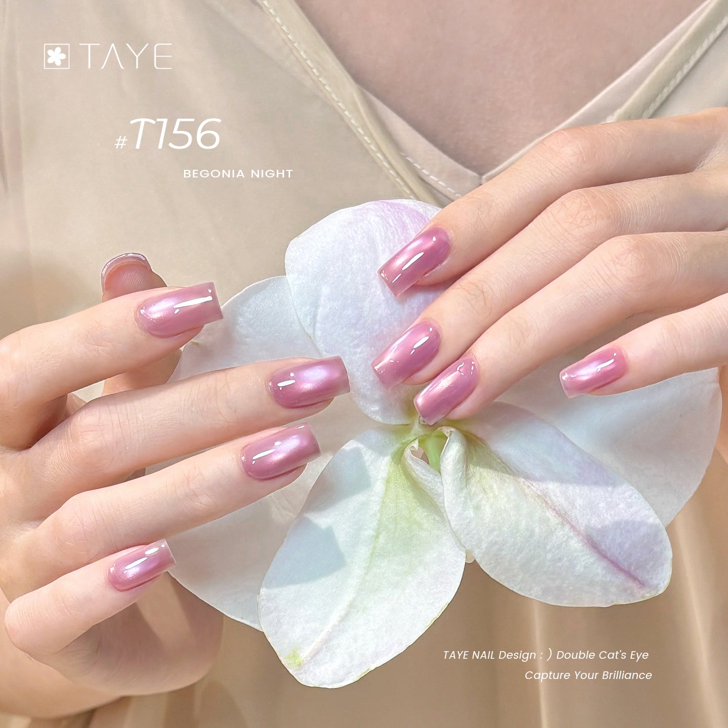 TAYE  Nail Gel Polish Cat Eyes Color