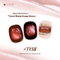  T138