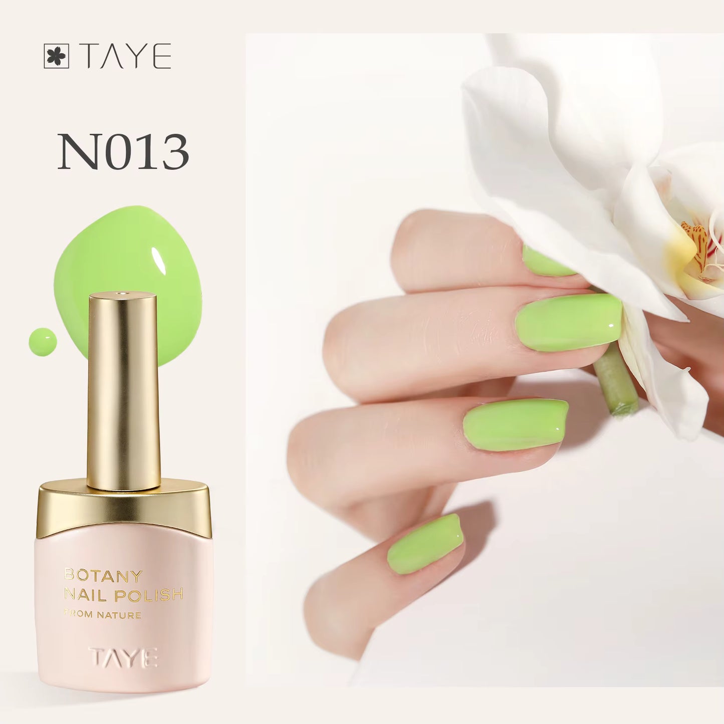 TAYE Different Colors UV Gel Nail Polish
