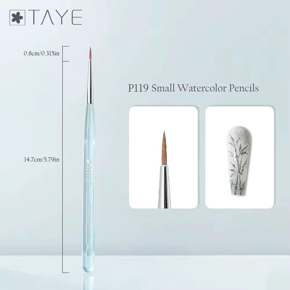 TAYE Uv Gel Polish Nail Gel Polish 80 Colors Set